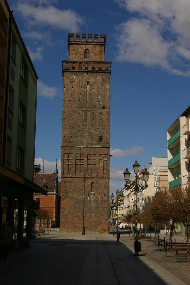 IMGP4509_1